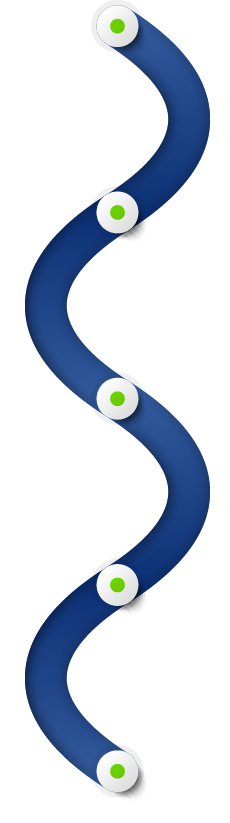 Flosom-Timeline-graphic